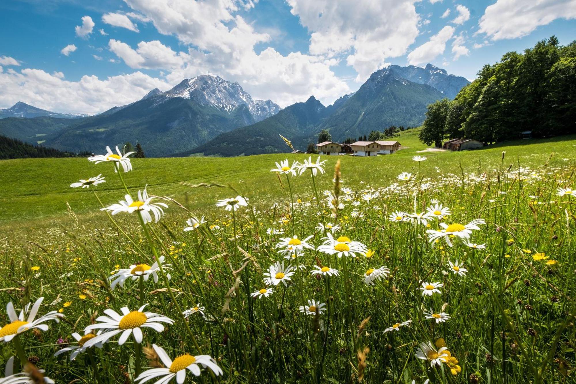 Alpenpension Ettlerlehen Рамзау Экстерьер фото
